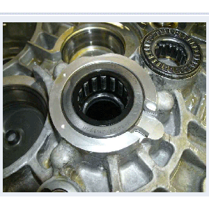 Diff Case  Bearing1